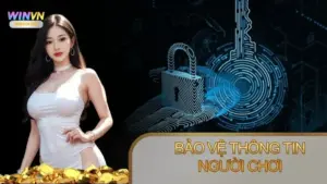 Quyền riêng tư Winvn bảo vệ thông tin người chơi