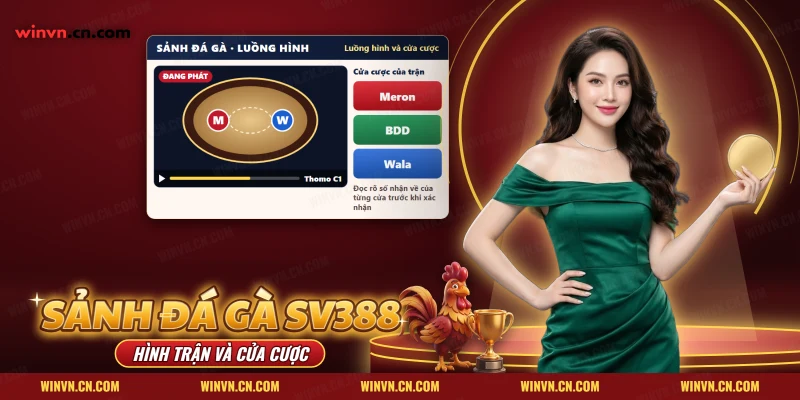 Sảnh đá gà SV388 Winvn với sân trận đang phát, ký hiệu M và W cùng các cửa Meron, BDD, Wala