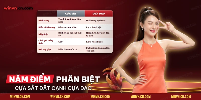 Bảng so sánh cựa sắt và cựa dao theo hình dạng, kiểu sát thương và nhịp trận