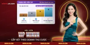 VIP Winvn với các cấp hội viên, quyền lợi hoàn trả và ưu tiên duyệt rút