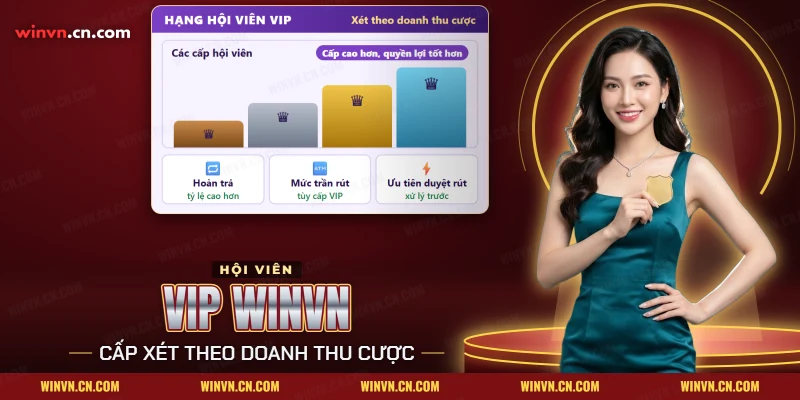 VIP Winvn với các cấp hội viên, quyền lợi hoàn trả và ưu tiên duyệt rút